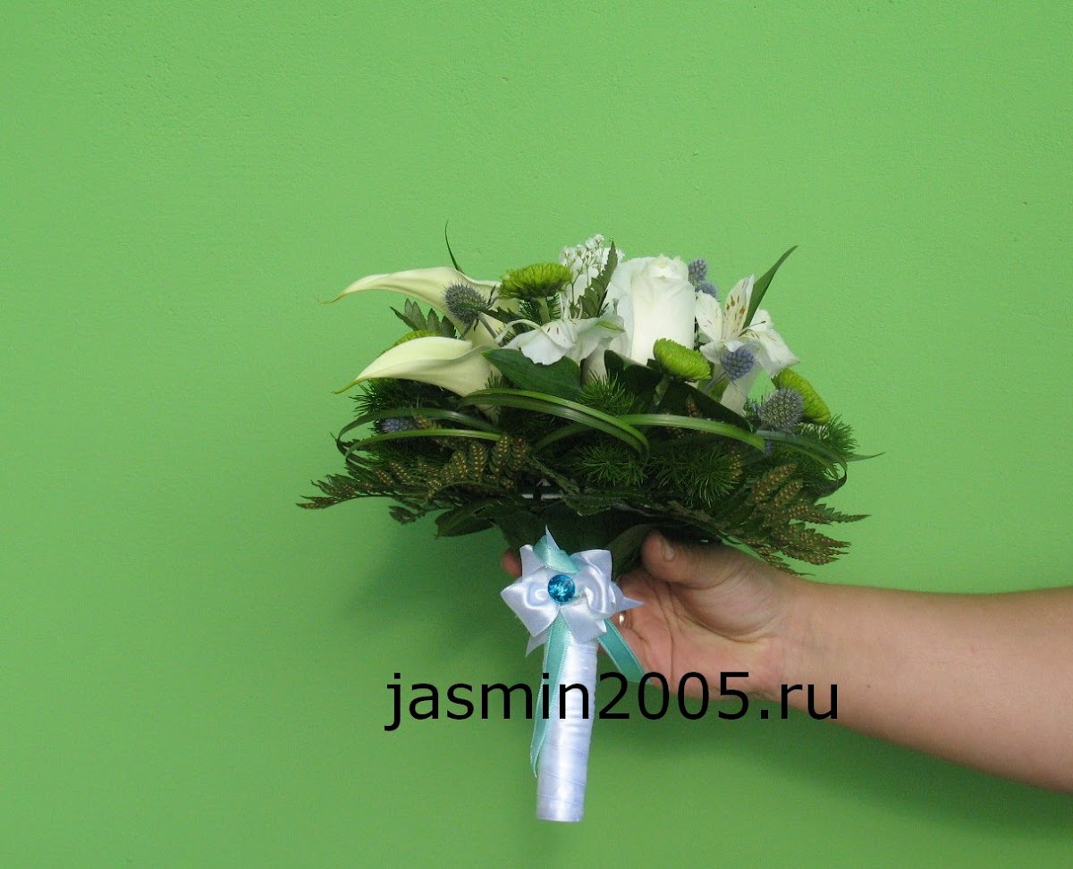 Портфолио