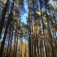 Александра Рудина