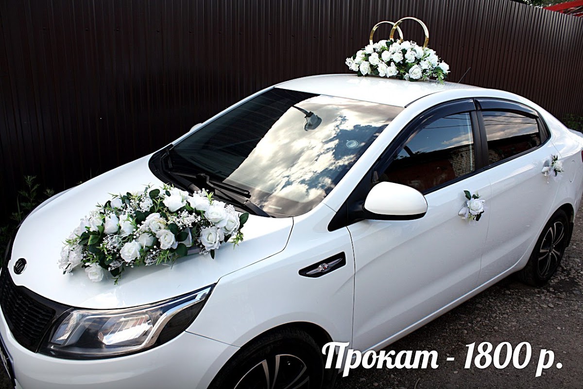 Кадр 84 из 196