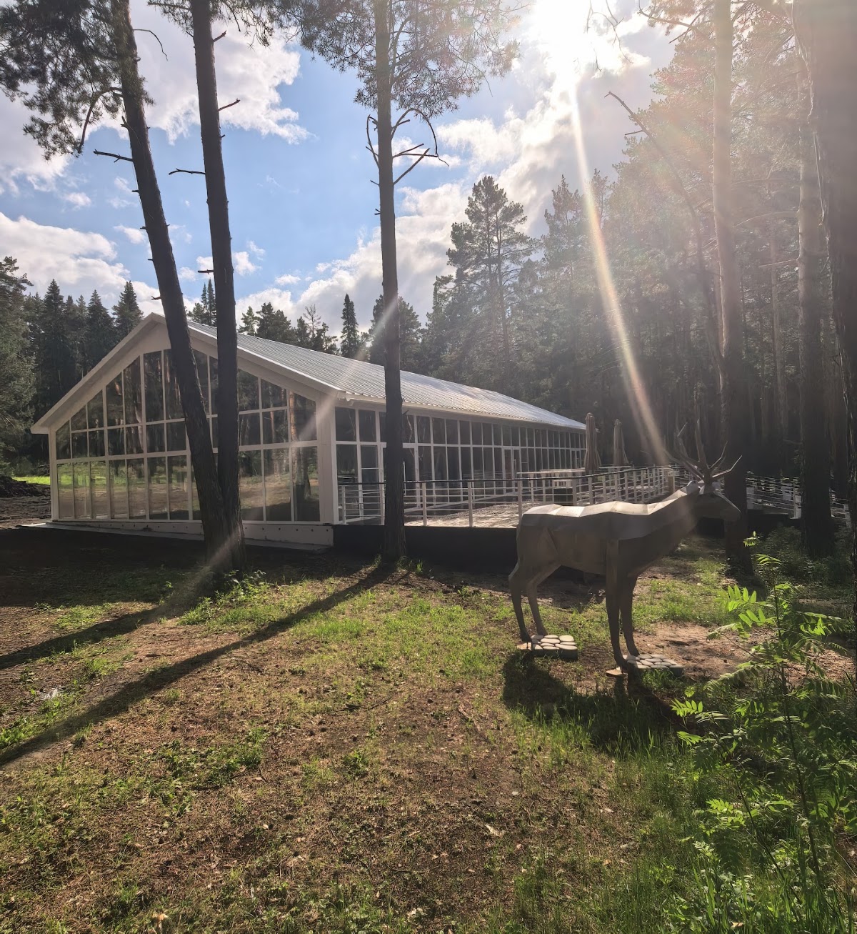 Фотогалерея ресторана