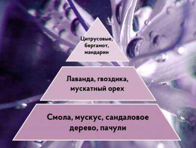 Портфолио