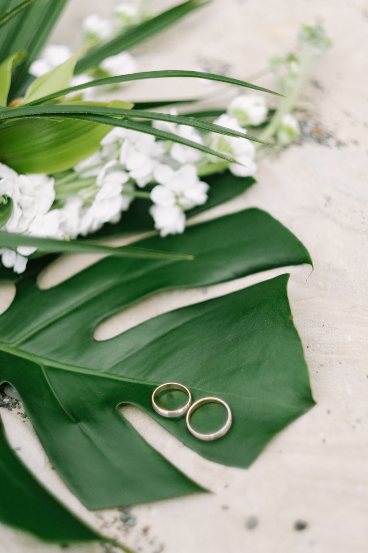 Tropical Wedding