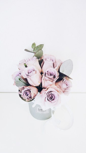 Miss Blooms — кадр 2 из 20