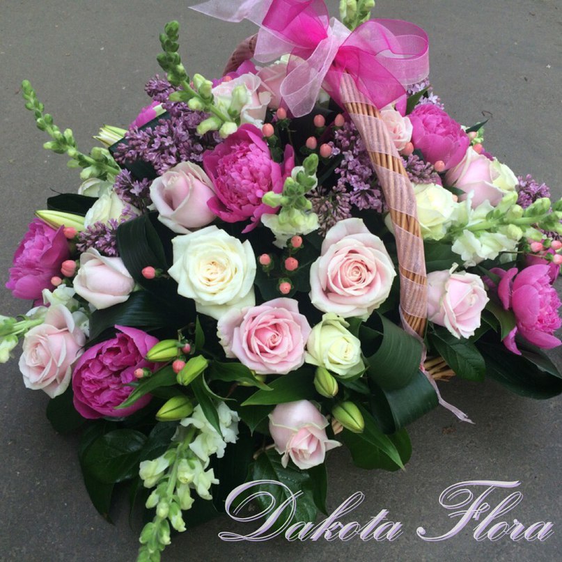 Dakota Flora
