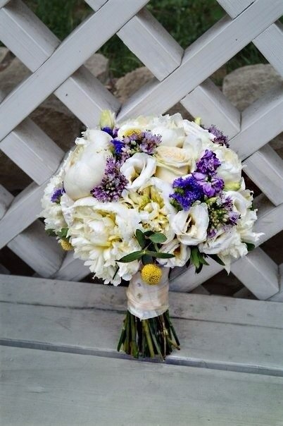 Wedding Rose