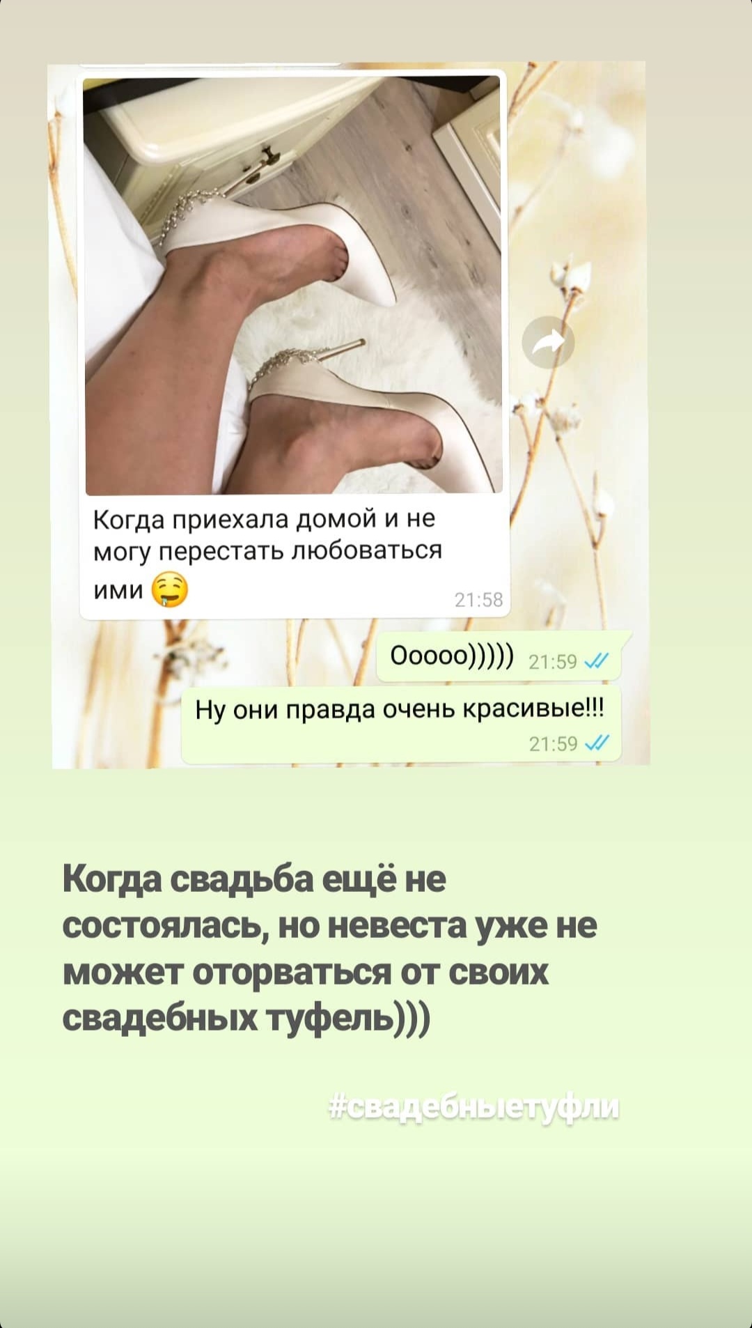 Портфолио