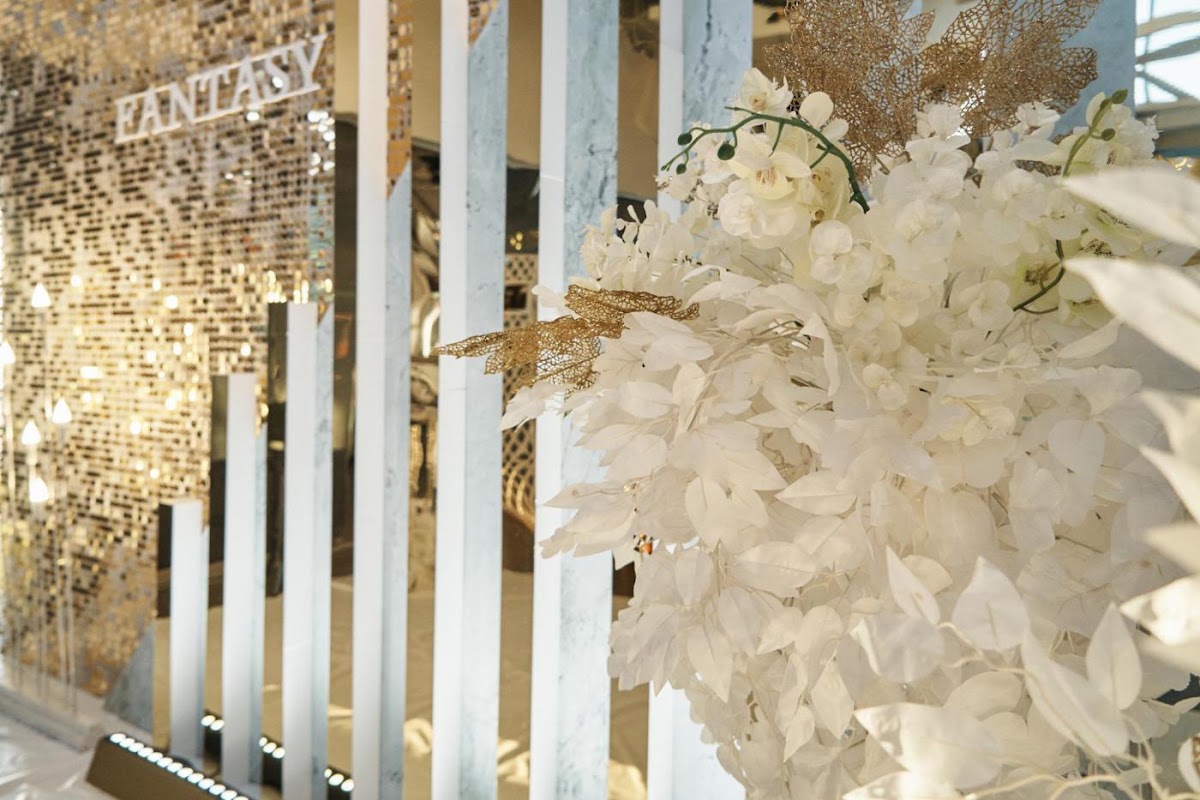 wedding fest 2019