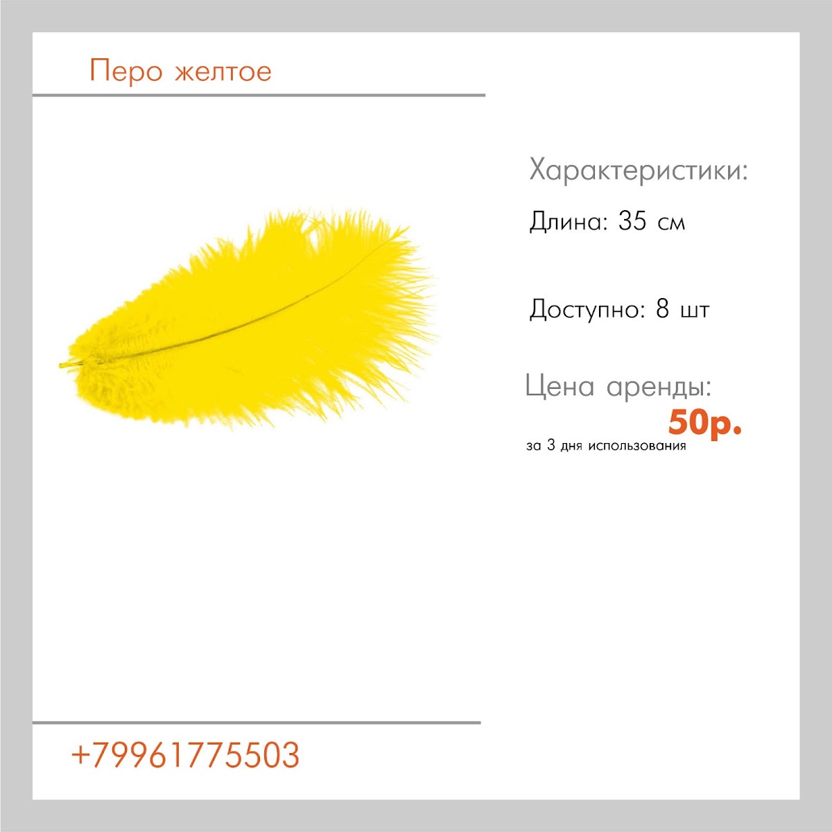 Аксессуары