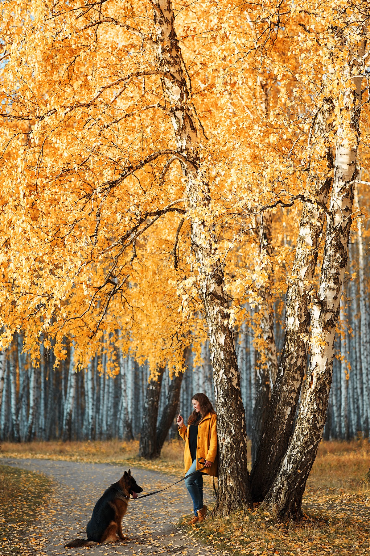 Портфолио: Животные