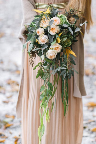 Olivia floristic