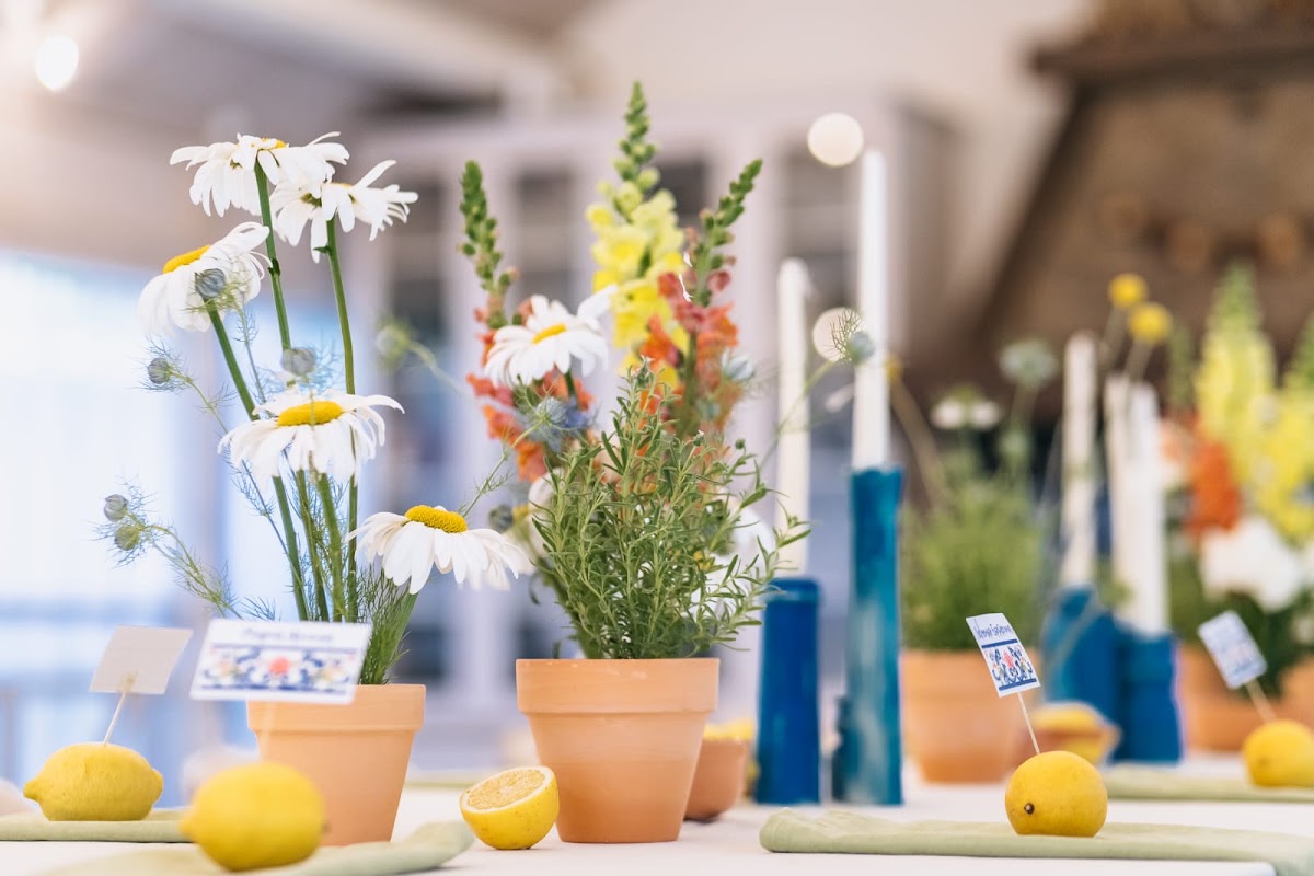 Garden Glass
