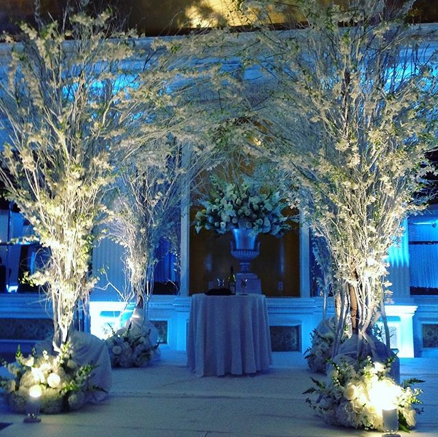 Wedding magic