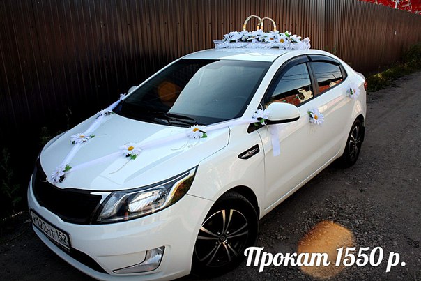 Кадр 115 из 196