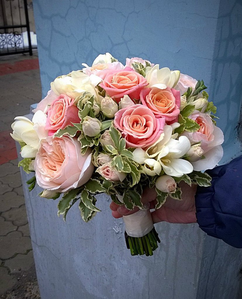 VaNDa — кадр 2 из 20