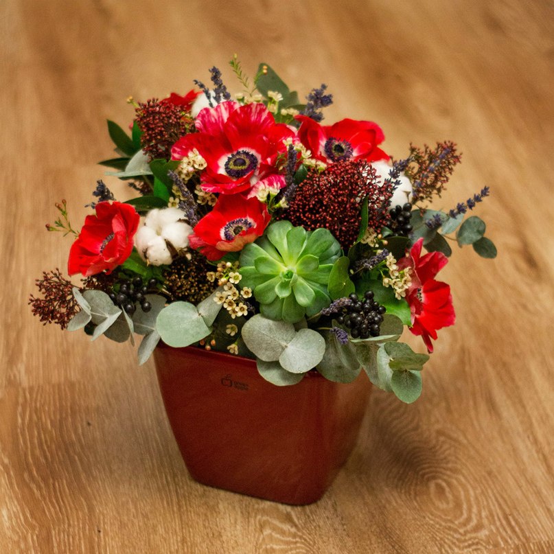 Apedecor