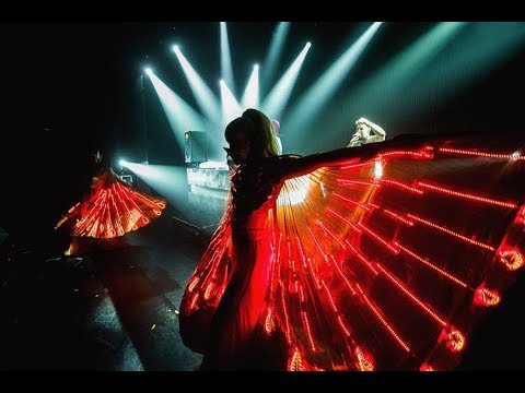 Световое лайт шоу на свадьбу Феникс