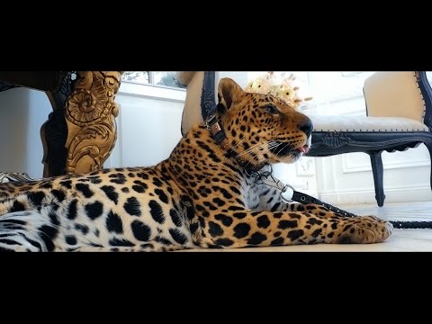 Кадр 33 из 39