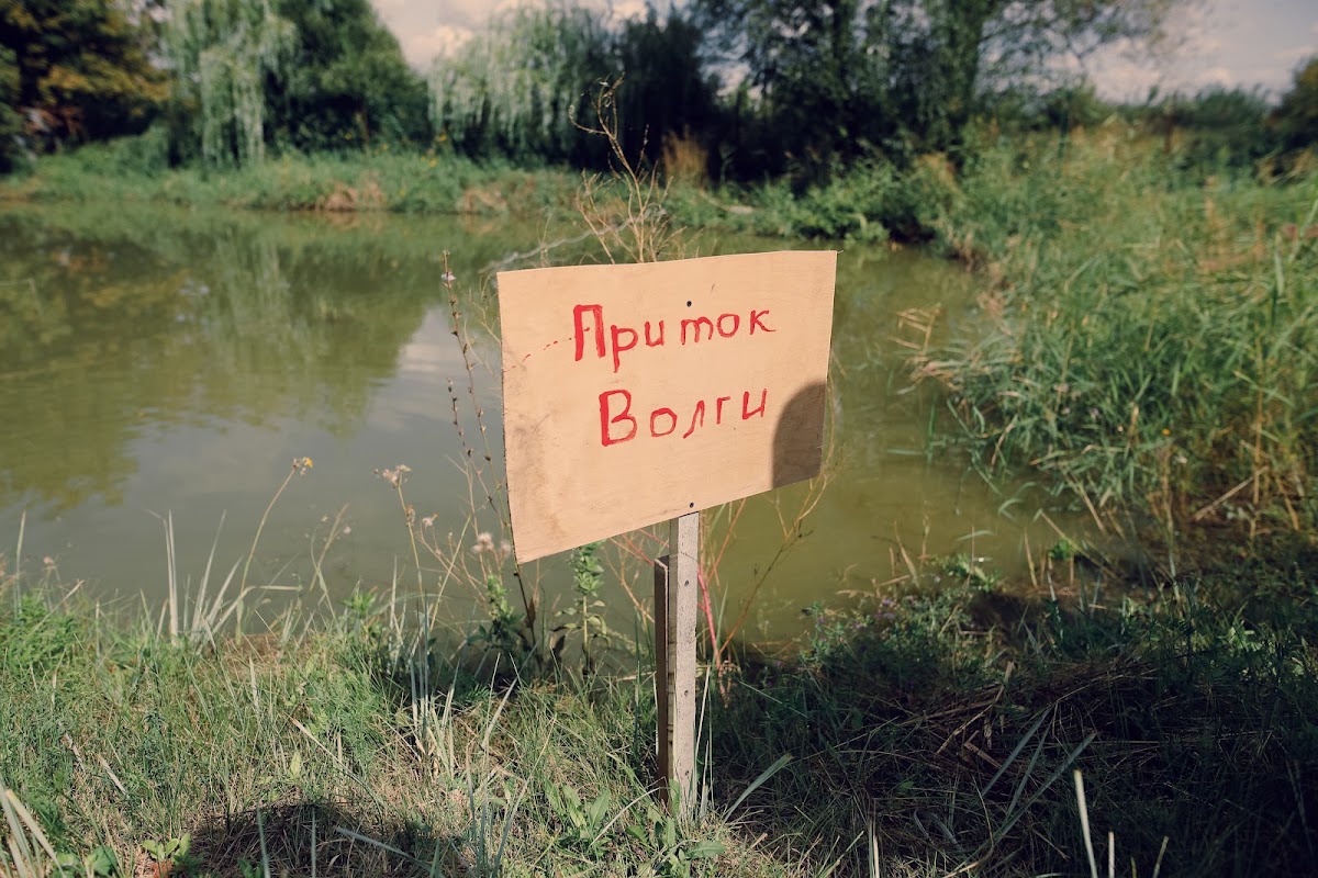 Анна и Дмитрий