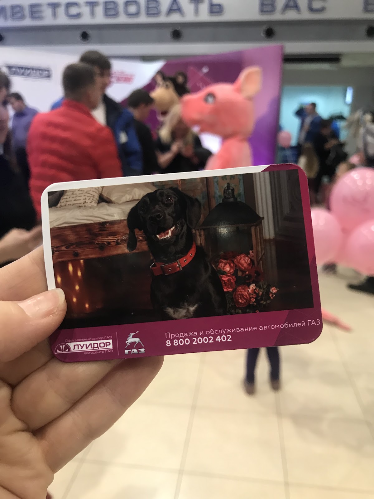 Фотобудка. Спиннер 360. Буллет Тайм