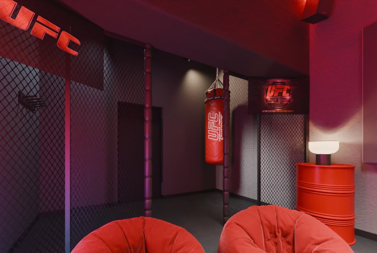 Лофт «UFC»
