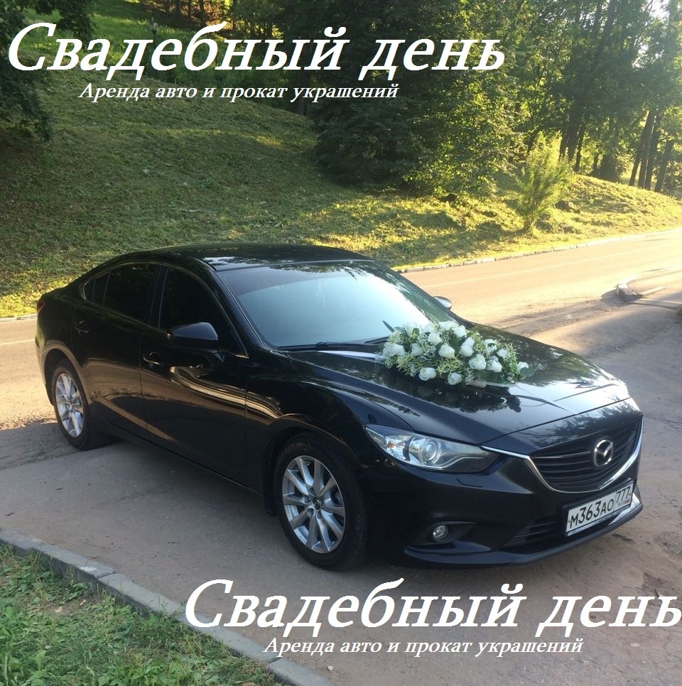 Фотографии