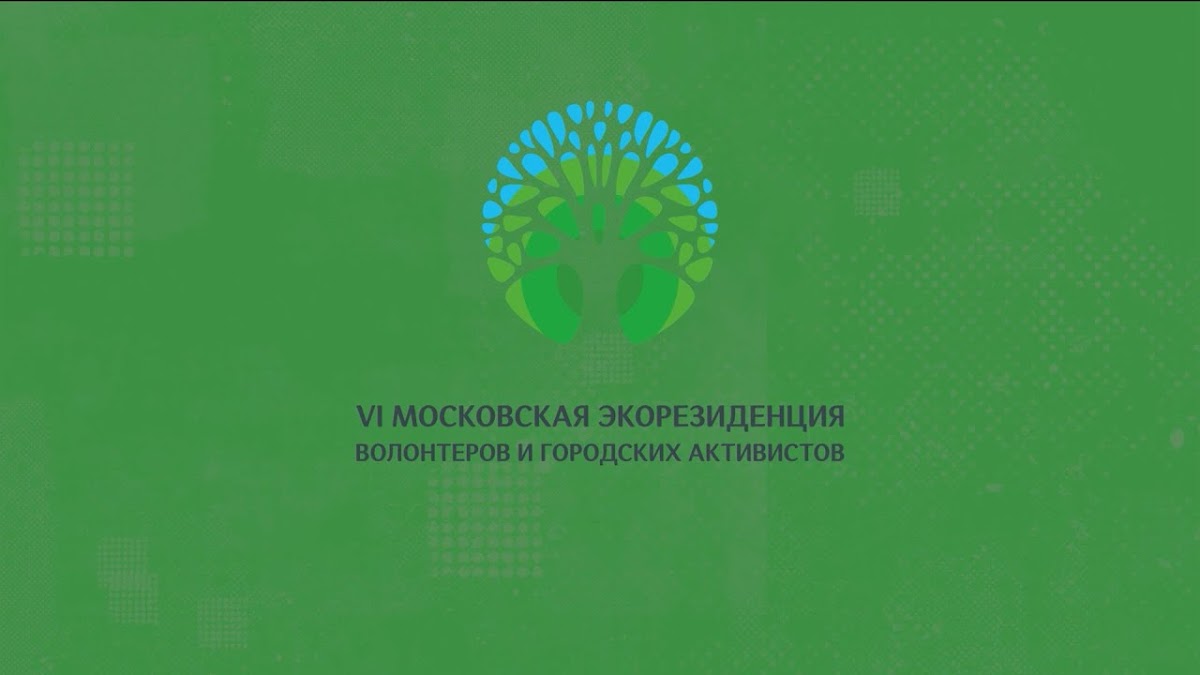 Кадр 31 из 33