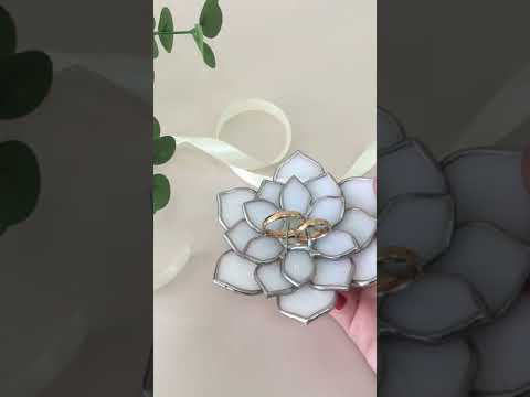 Суккуленты