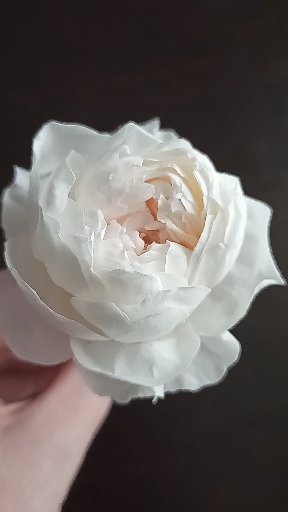 Кадр 94 из 105