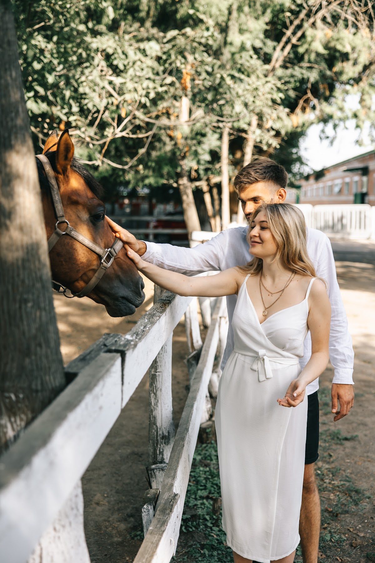 Love story с лошадками