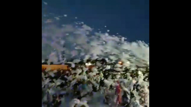Видео