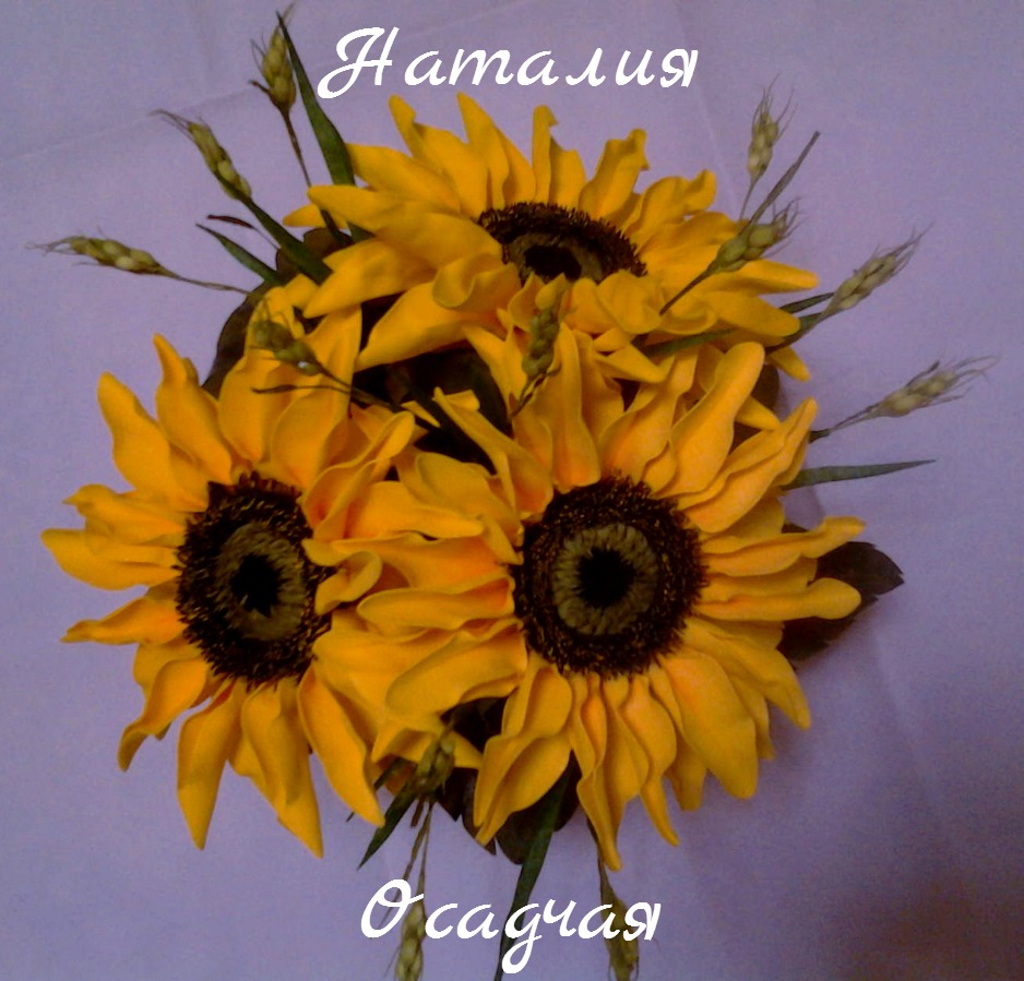 Кадр 48 из 103