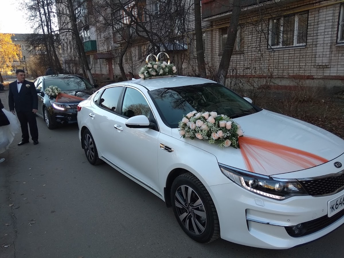 Кадр 53 из 95