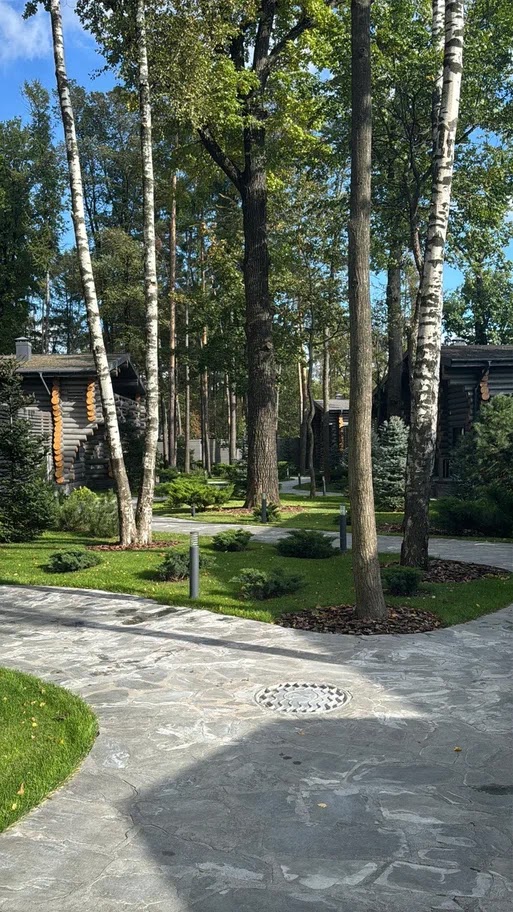 Nella Foresta