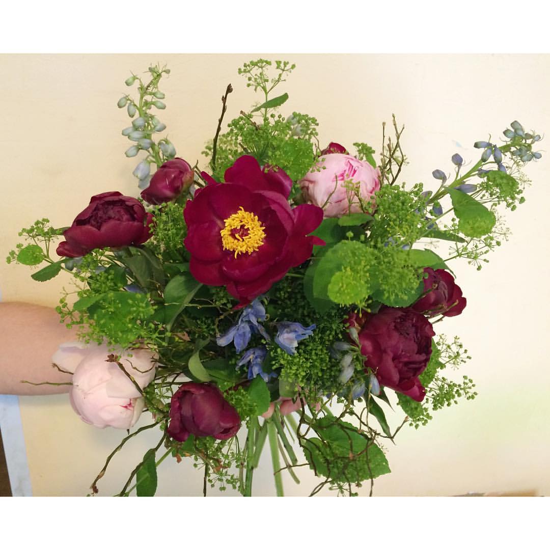 KurkumaFlowers