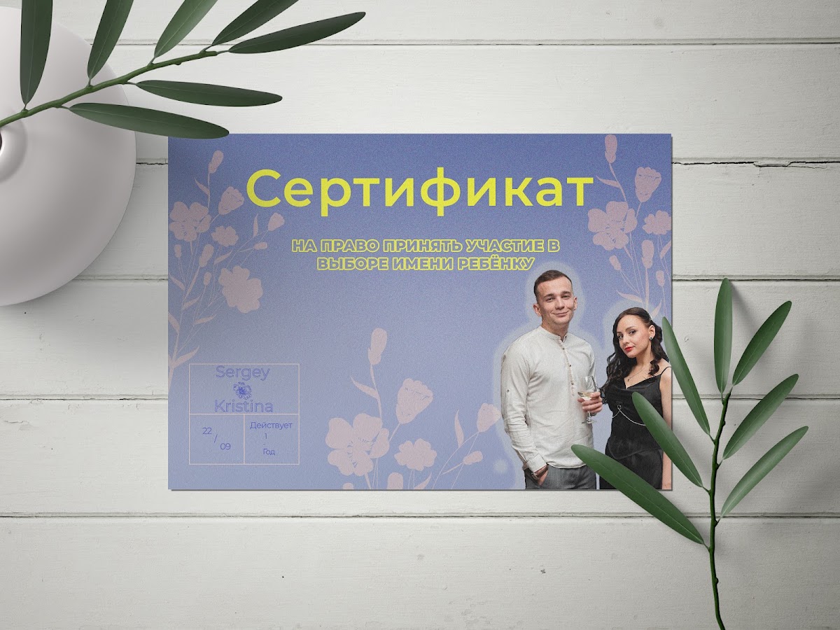 Портфолио