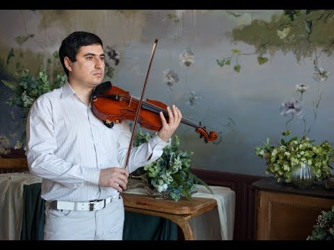 Портфолио: Свадьба