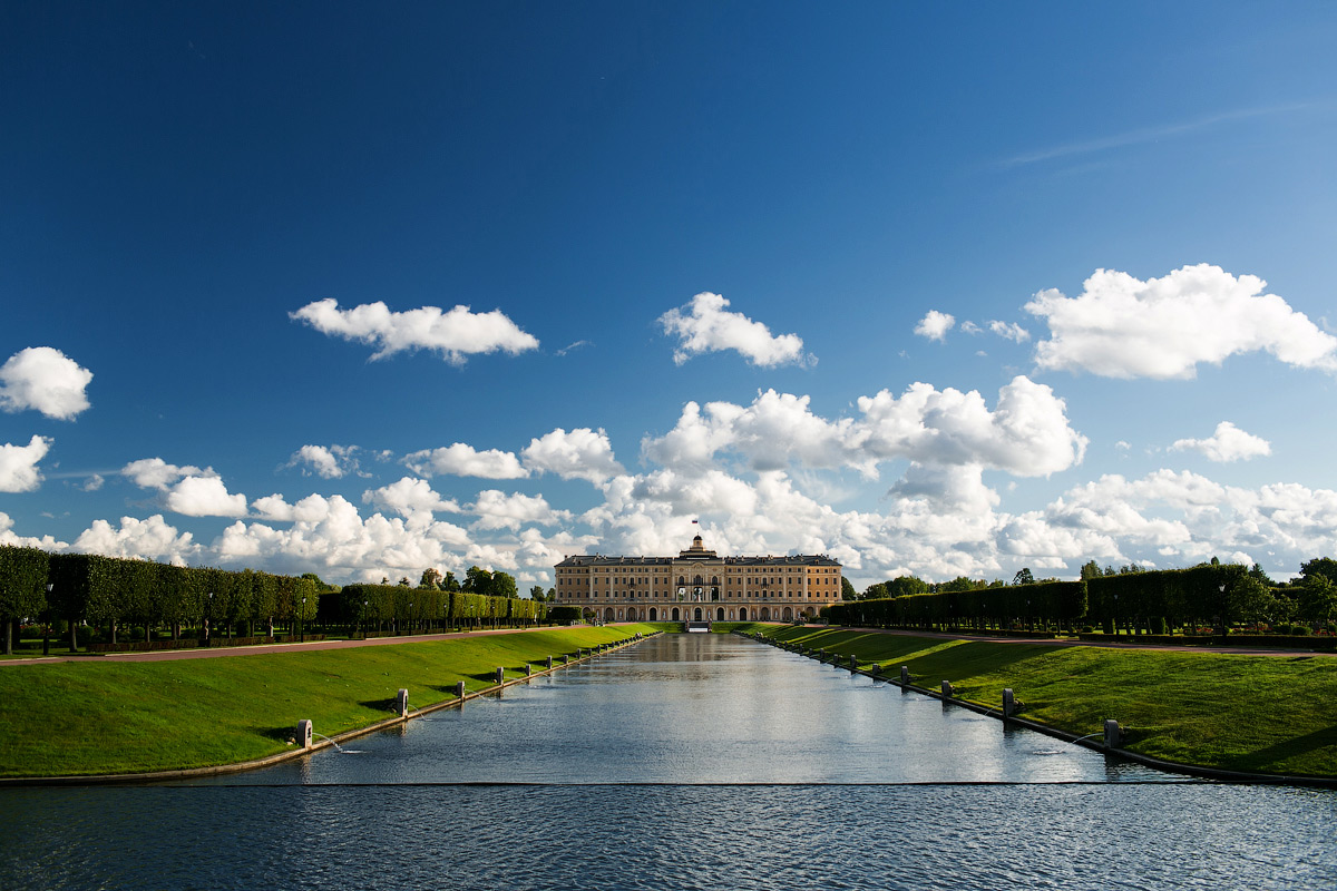 Свадебный отчёт