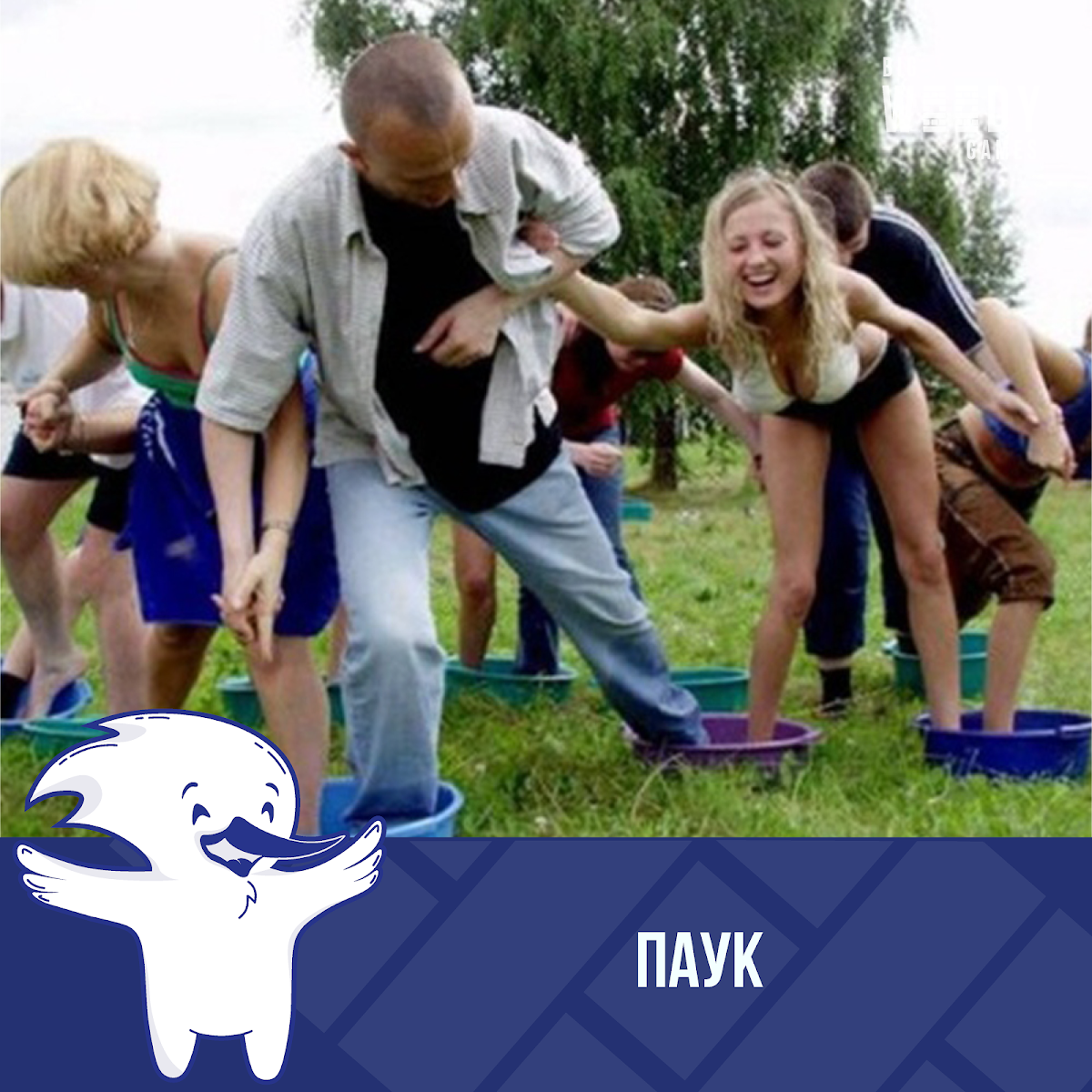 Портфолио