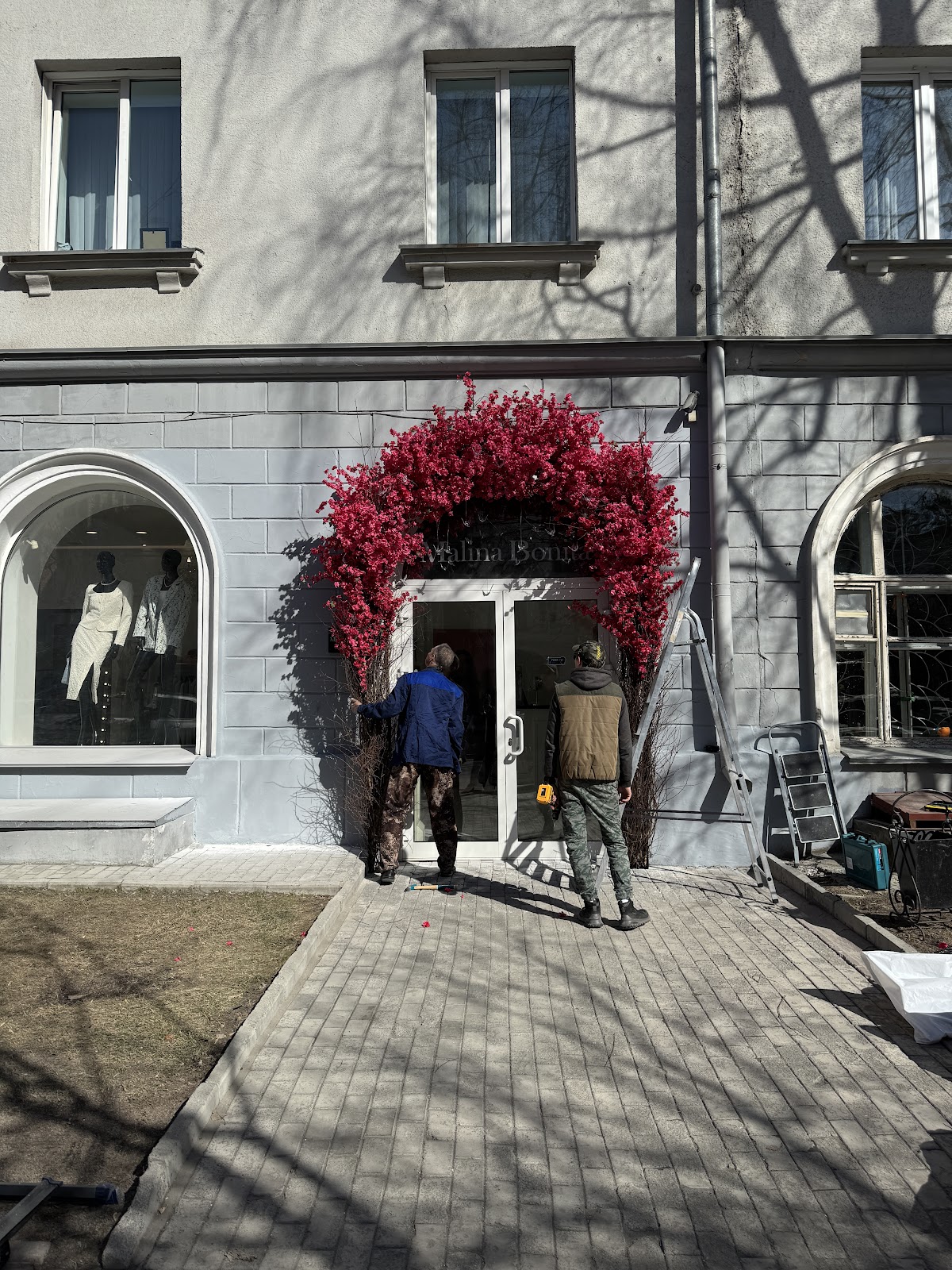 Фотографии