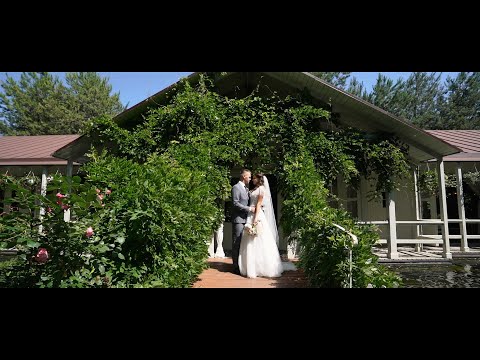 Портфолио: Свадьба