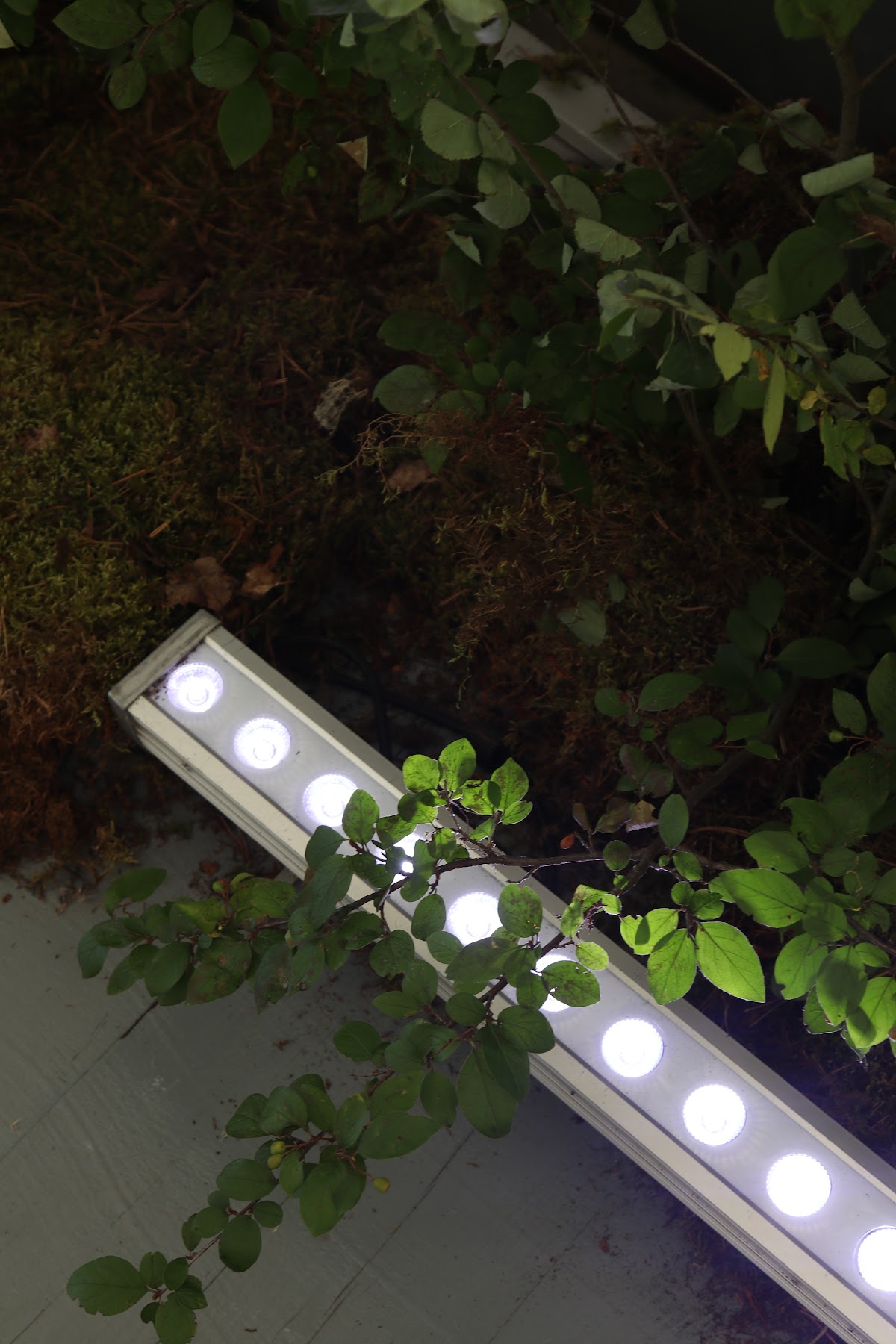 11.08.23 Василий и Карина