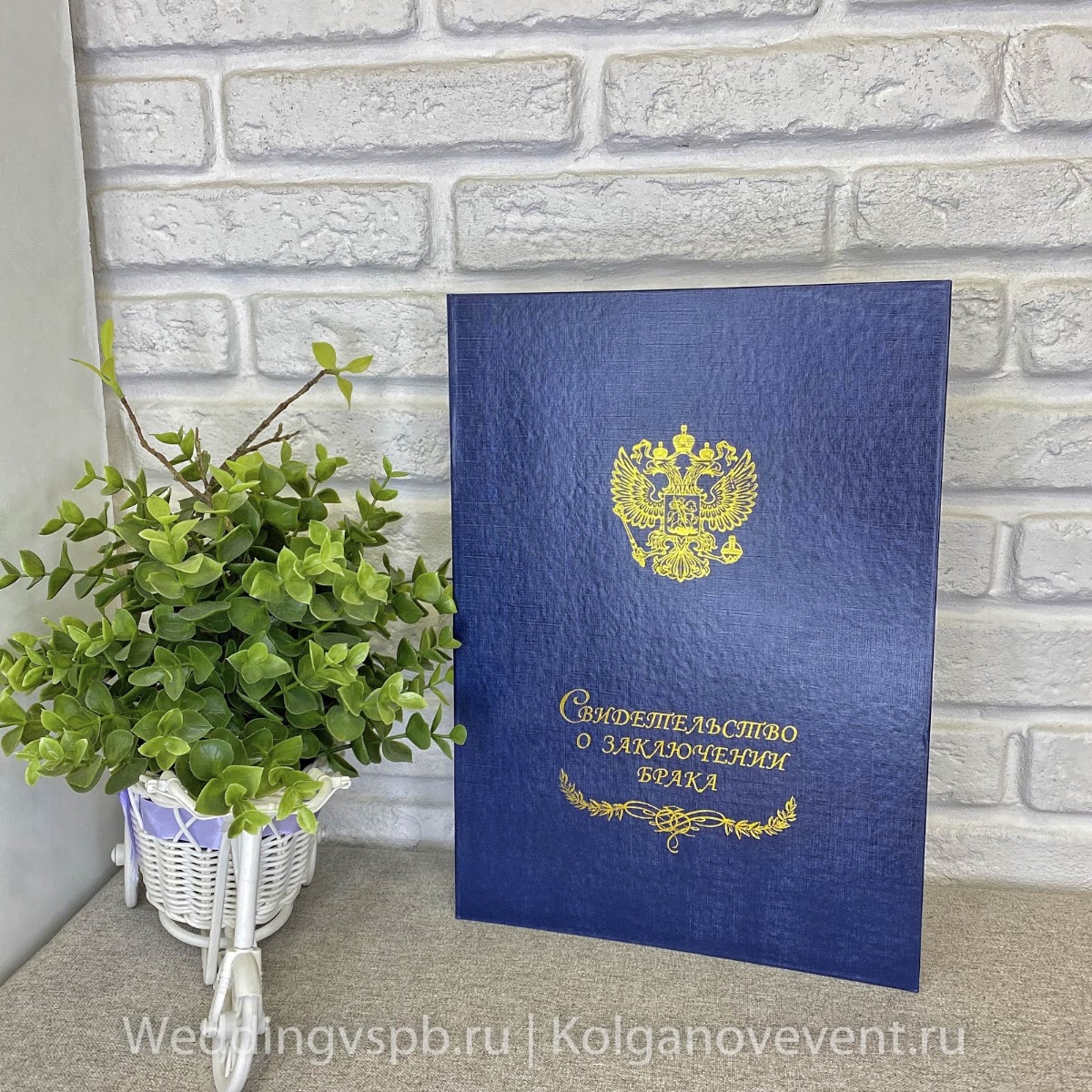 Папки для свидетельства