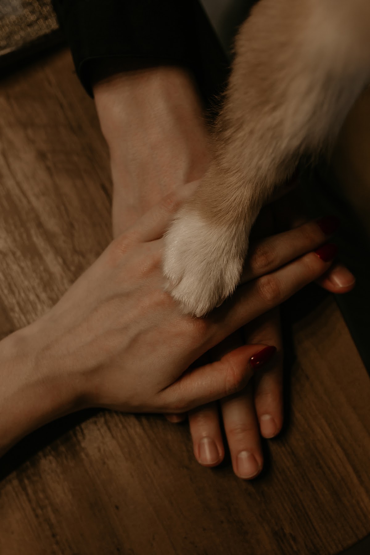 Кадр 54 из 54