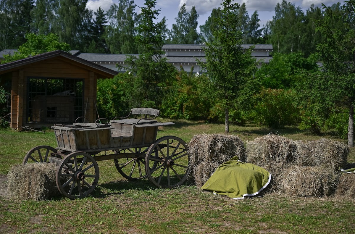 Мероприятия у нас