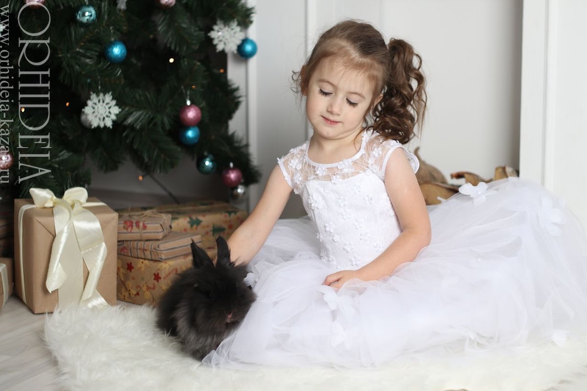 Little Princess