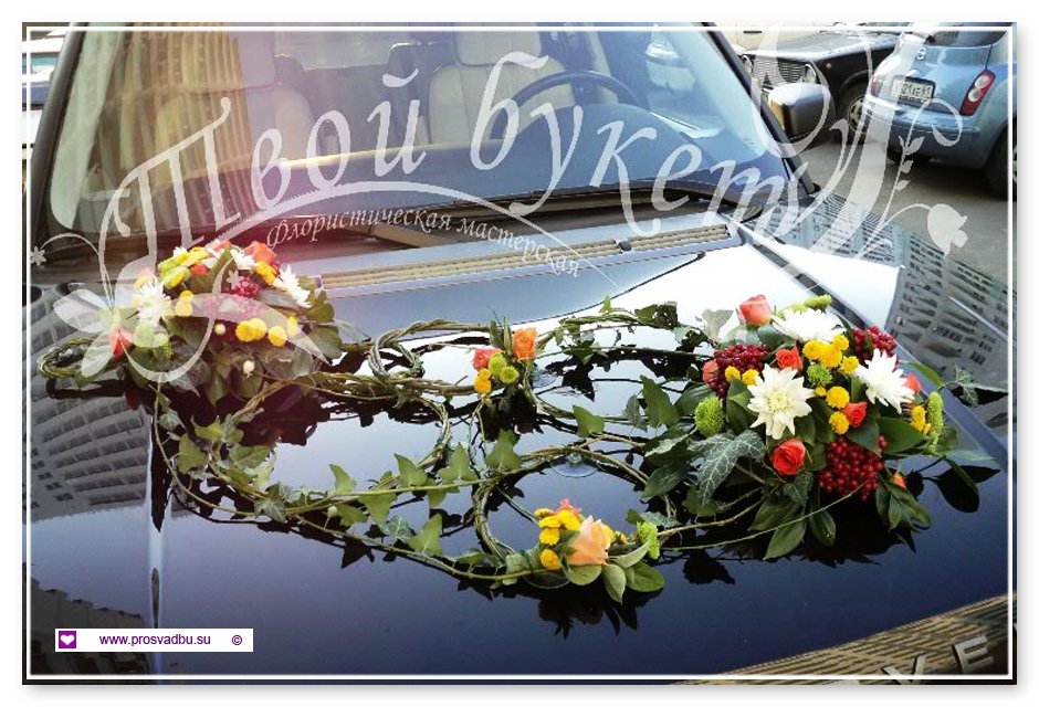Полина Петрова