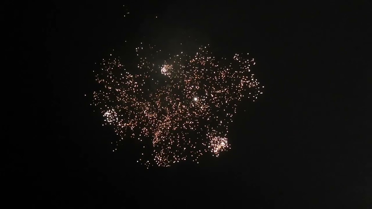 Видео свадебных салютов