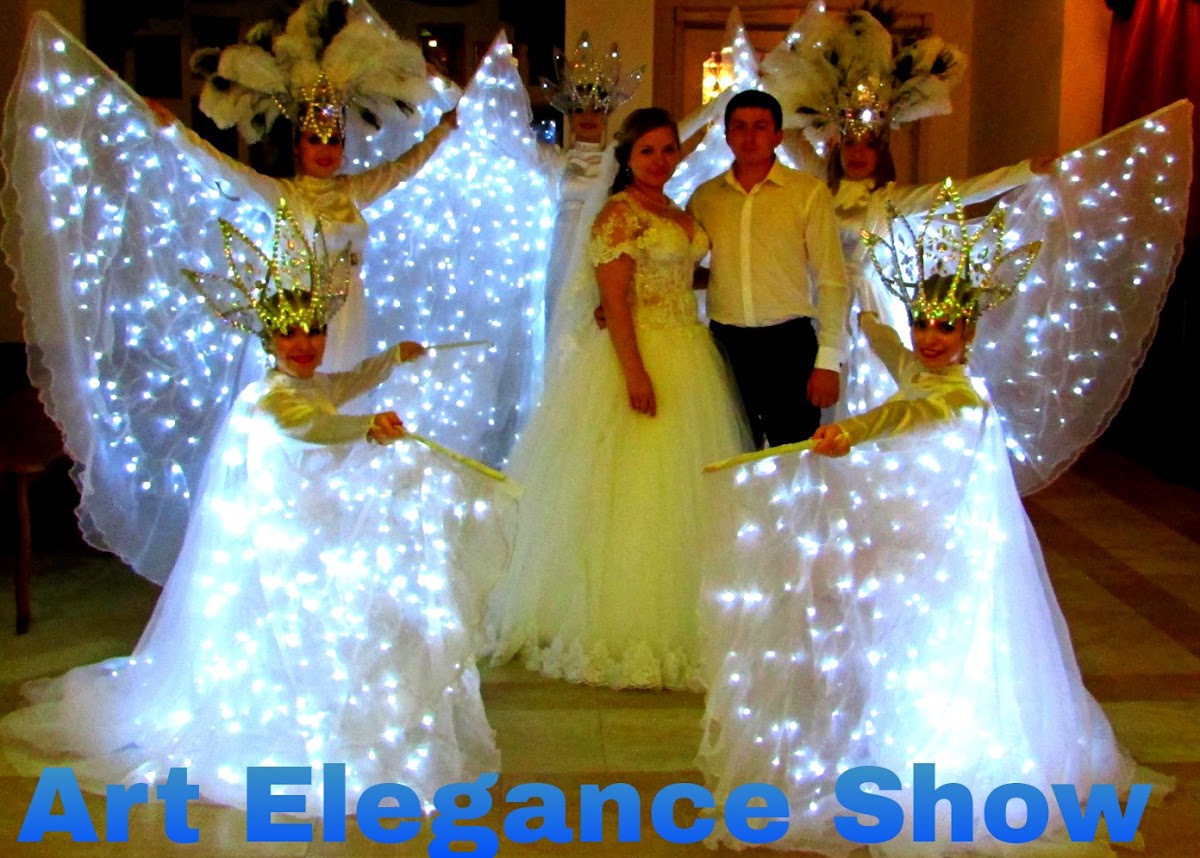 Световое шоу Ангелы и Птицы Счастья  от Art Elegance Show