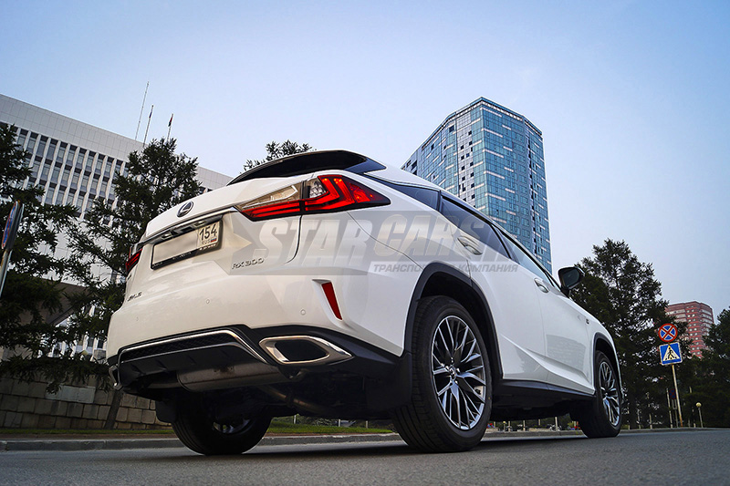 Lexus RX300 (2019)