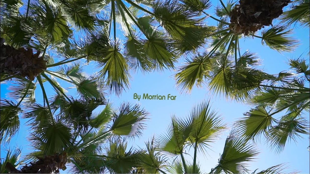 Morrian Far